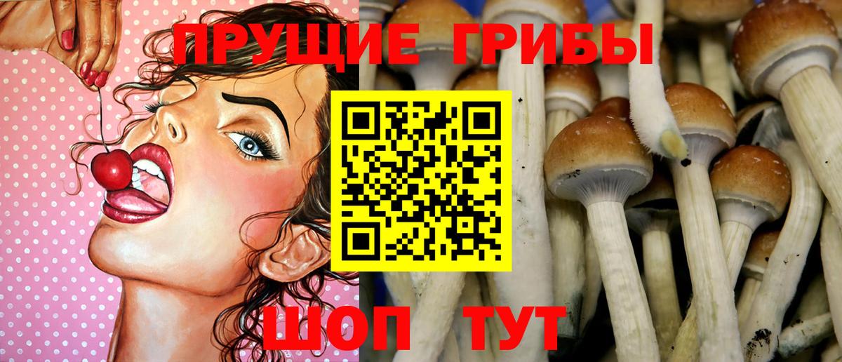 Елизово  Псилоцибиновые грибы Cubensis  Галлюциногенные грибы мухоморы  Вход с VPN 