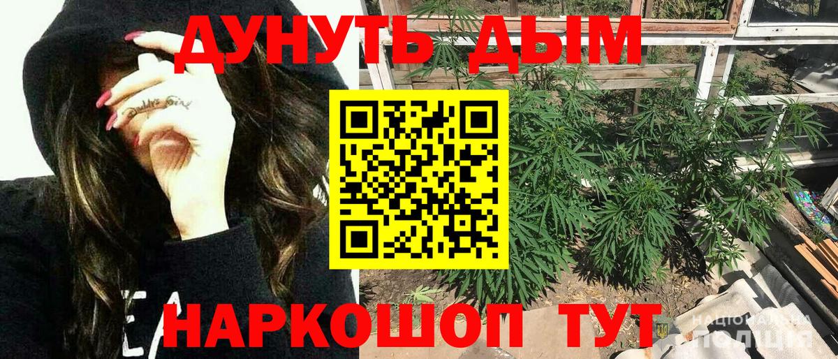 Елизово  МАРИХУАНА сатива  Конопля планчик  Конопля сатива  Вход с VPN 