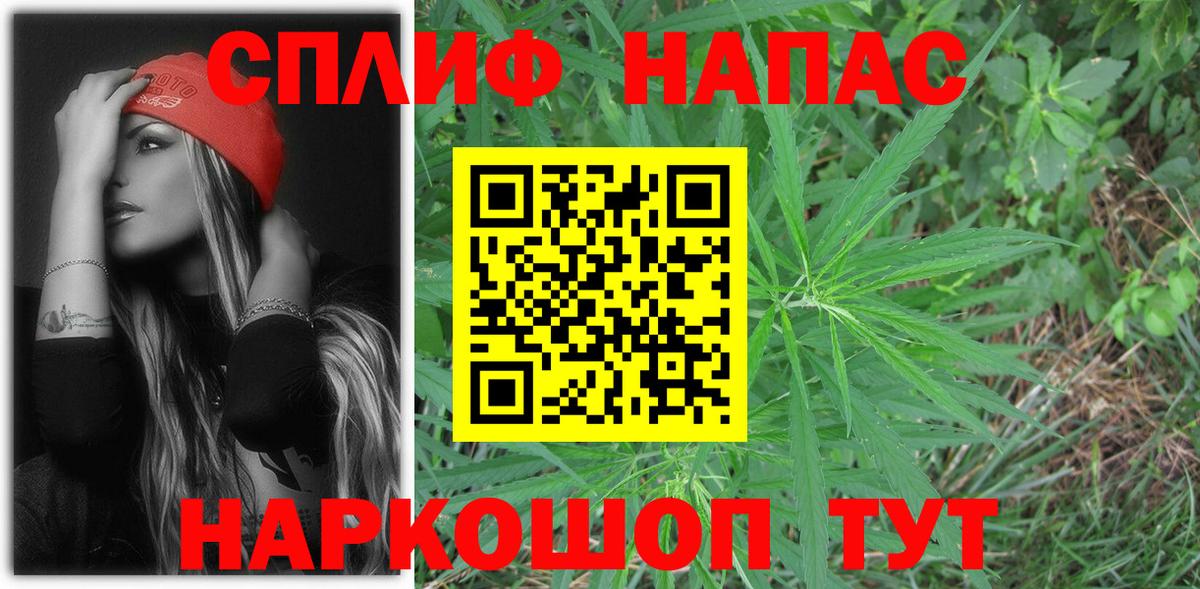 МАРИХУАНА план Елизово